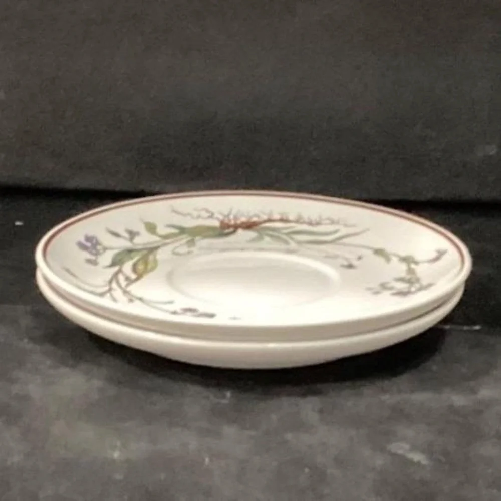 Villeroy & Boch Botanica Teacup and Saucers, Set of 2, Vintage Botanical Design